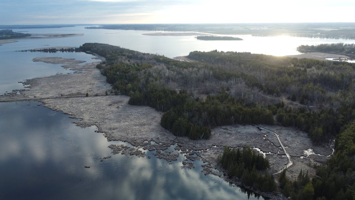 KawarthaConservation (@kawarthaconserv) on Twitter photo A beautiful morning overlooking the marsh boardwalk at Ken Reid Conservation Area with McLaren Marsh Provincially Significant Wetland on the left, and the Point Loop leading to Sturgeon Lake at the top.
<a href="/conont/">Conservation Ontario</a> @ExploreKL <a href="/kawarthalakes/">Kawartha Lakes</a> A beautiful morning overlooking the marsh boardwalk at Ken Reid Conservation Area with McLaren Marsh Provincially Significant Wetland on the left, and the Point Loop leading to Sturgeon Lake at the top.
<a href="/conont/">Conservation Ontario</a> @ExploreKL <a href="/kawarthalakes/">Kawartha Lakes</a>
