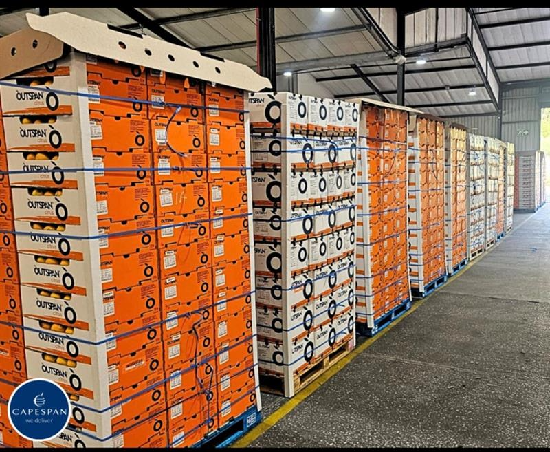 Capespan_NA's tweet photo. The first Navels of 2025 are in the bin - and they’re looking exceptional 🍊 https://t.co/vUZi3TIu2H