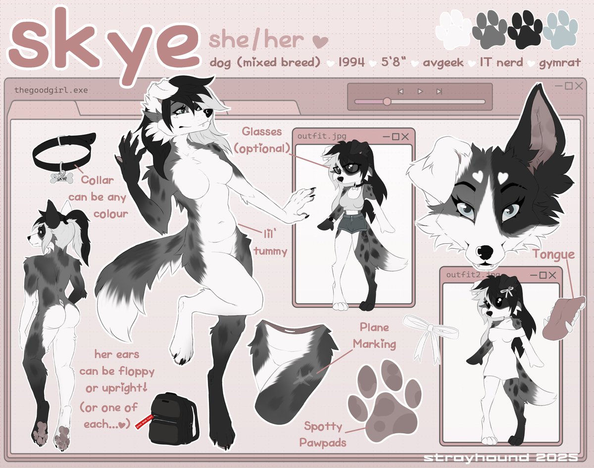 sudo skye.sh tweet media