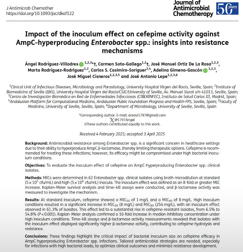 Ángel Rodríguez-Villodres tweet media