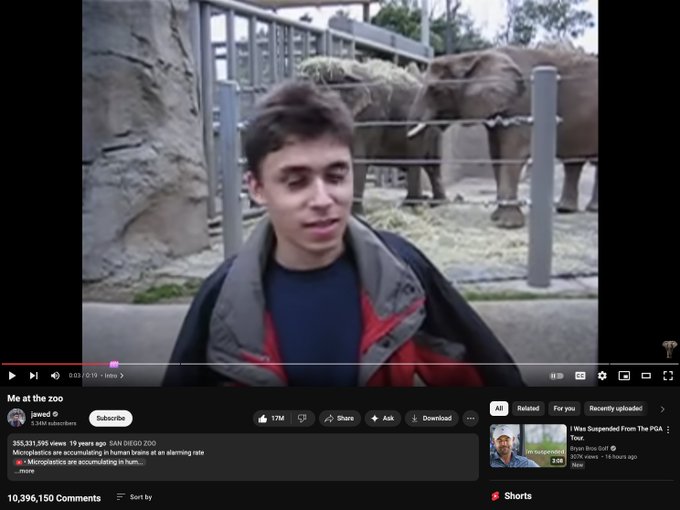 veefly_'s tweet image. YouTube Turns 20: Platform Celebrates Anniversary with Birthday Cake Easter Egg
#YouTube20 #YouTube20thAnniversary #firstyoutubevideo #meatthezoo