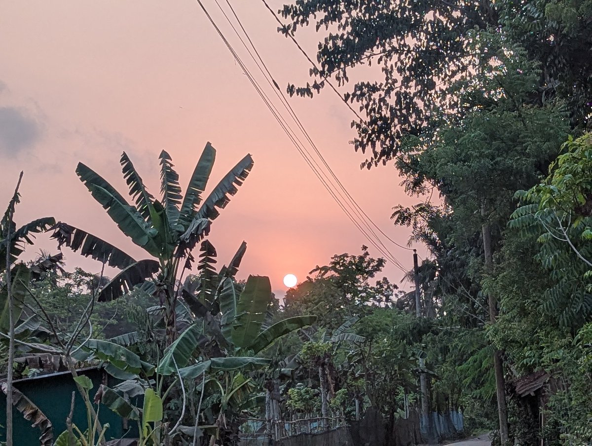 Soriful Sheikh (@sheikh_soriful1) on Twitter photo 