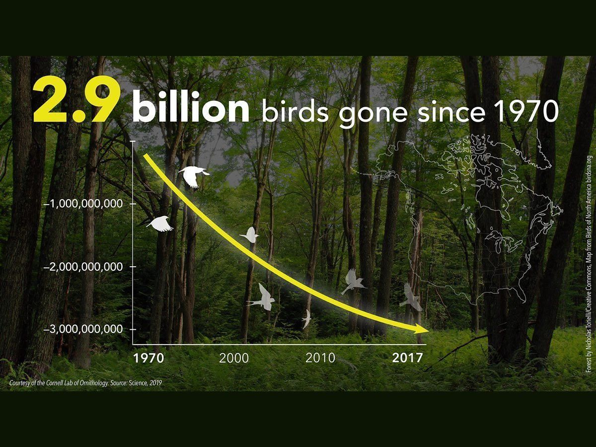 Humans are exterminating life on Earth. We’re wiping out species at a rate of 10,000 to 100,000 annually. 

We need to do better. Protect nature.

#ActOnClimate #deforestation #oceans #biodiversity