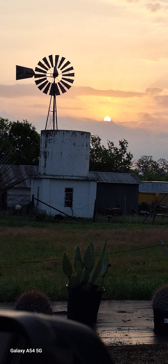 Good morning from Texas!