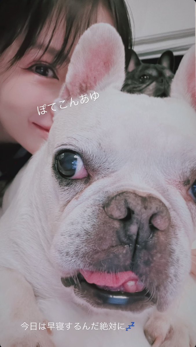 eri_1978102's tweet photo. かわいー😭👸🐶🐶💖💗💕

@ayu_19980408 
#ayumihamasaki 
#浜崎あゆみ　
#TA https://t.co/z5LhVUneVO