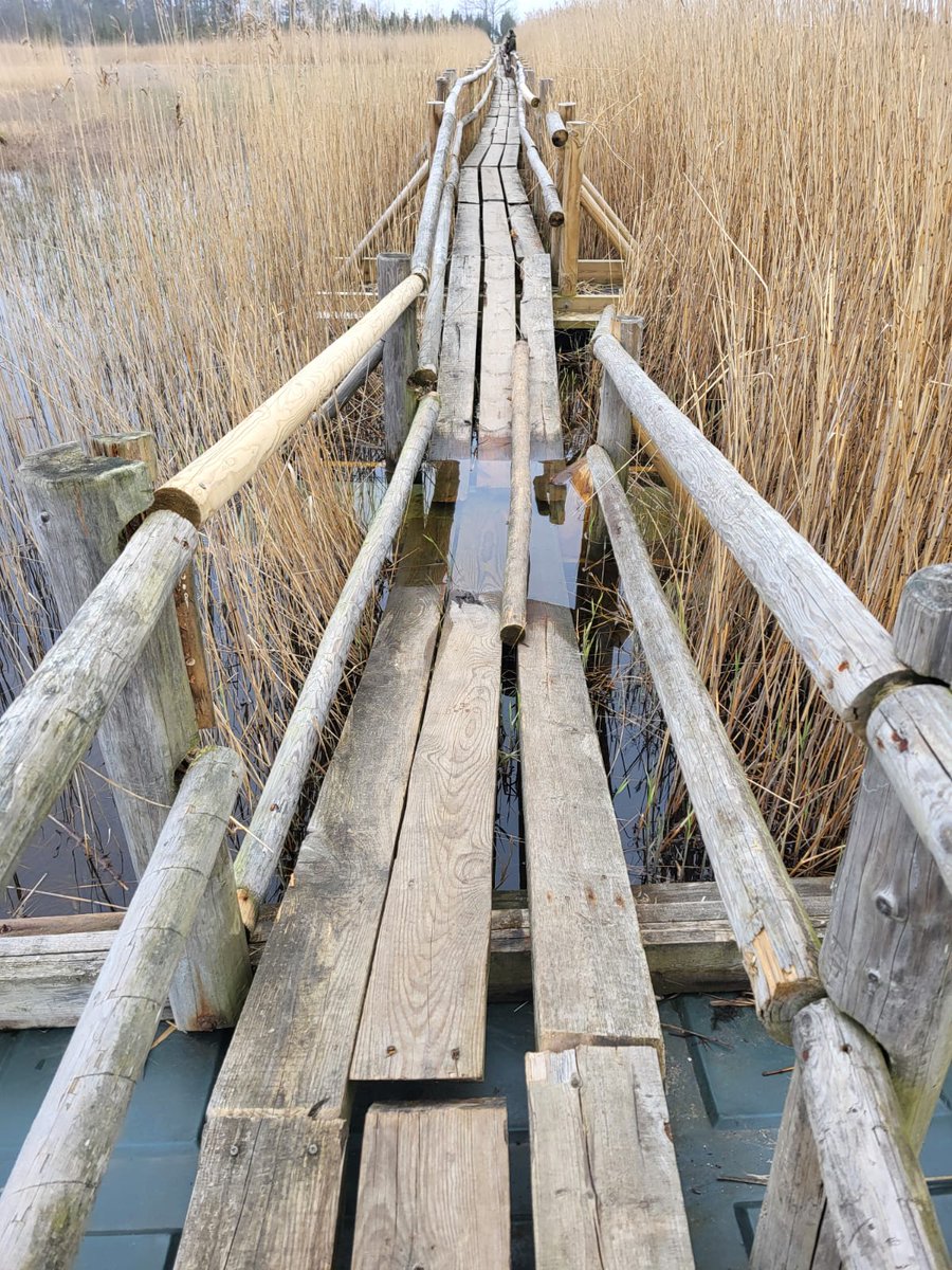 ‼ Uz laiku slēgta Ķemeru Nacionālais parks Kaņiera ezera Niedrāja laipa. Remontdarbu laikā aicinām izvēlēties citus galamērķus, piemēram, Kaņiera putnu torni vai pilskalna taku, kas atrodas turpat netālu!