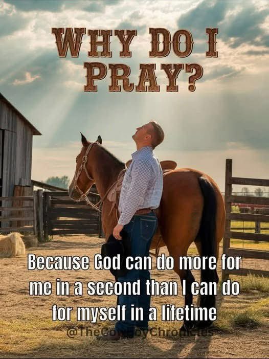 Rustyg62's tweet image. 