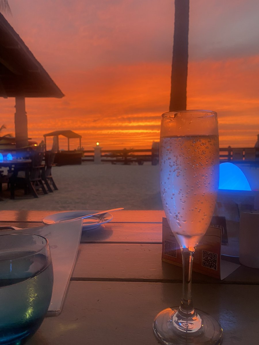 Wishing a happy one year anniversary to my beautiful and amazing wife. Looking forward to continuing our lifetime of adventures and happiness 💙