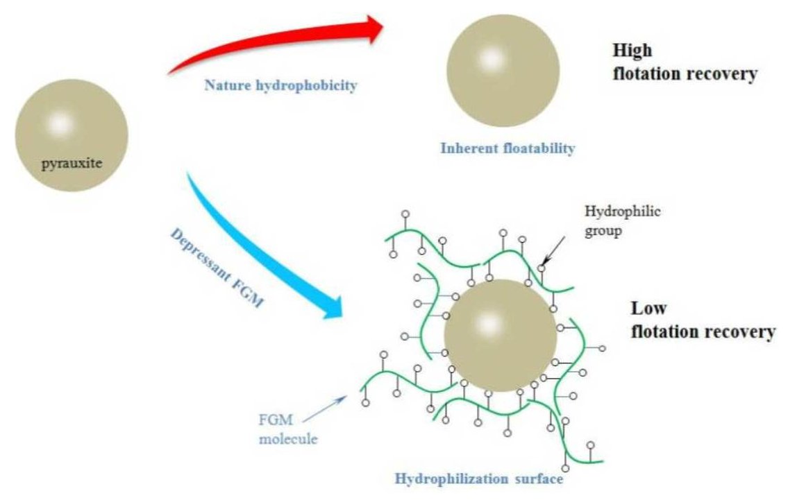 Colloids & Interfaces MDPI (@colloidsmdpi) on Twitter photo 🆕<a href="/ColloidsMDPI/">Colloids & Interfaces MDPI</a> Publication: Fenugreek #Polysaccharide Gum as a Depressant in the #Flotation Separation of Gold Ore with a High Content of Clay #Minerals
✍️by Qingqing Xing, Pingtian Ming, Xiaohui Wang, Fei Li, Zhen Wang and Kaile Zhao
🔗mdpi.com/3249140 🆕<a href="/ColloidsMDPI/">Colloids & Interfaces MDPI</a> Publication: Fenugreek #Polysaccharide Gum as a Depressant in the #Flotation Separation of Gold Ore with a High Content of Clay #Minerals
✍️by Qingqing Xing, Pingtian Ming, Xiaohui Wang, Fei Li, Zhen Wang and Kaile Zhao
🔗mdpi.com/3249140