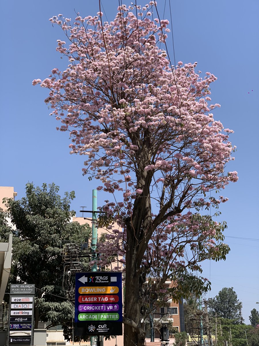 pratiikksingh's tweet image. 