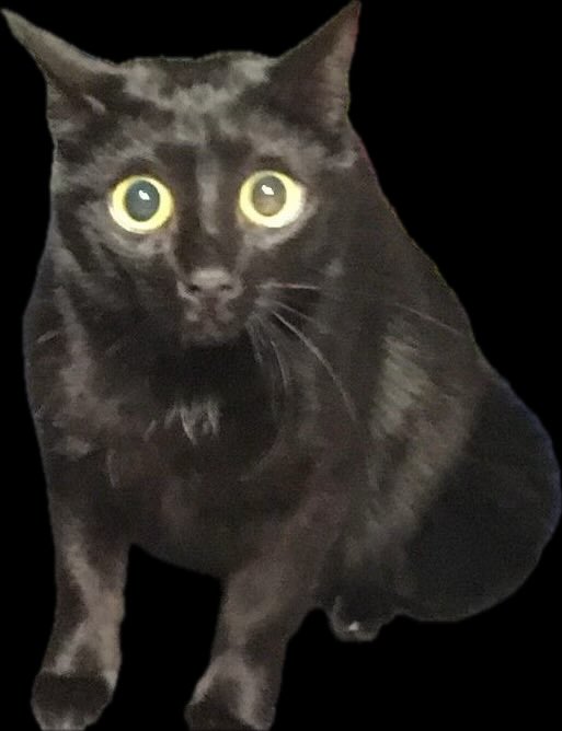 Goode tweet media
