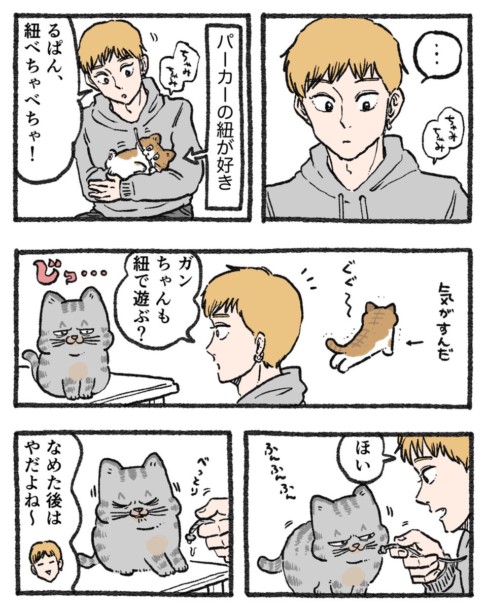 ねこおじ。〜木曜日と金曜日は番外編〜 パーカーの紐とねこ🐱