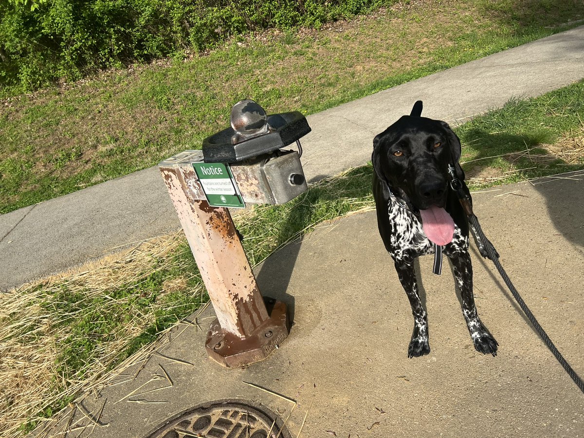 Yo <a href="/MarylandDNR/">Maryland DNR</a> can we have some water please? It’s not winter anymore.