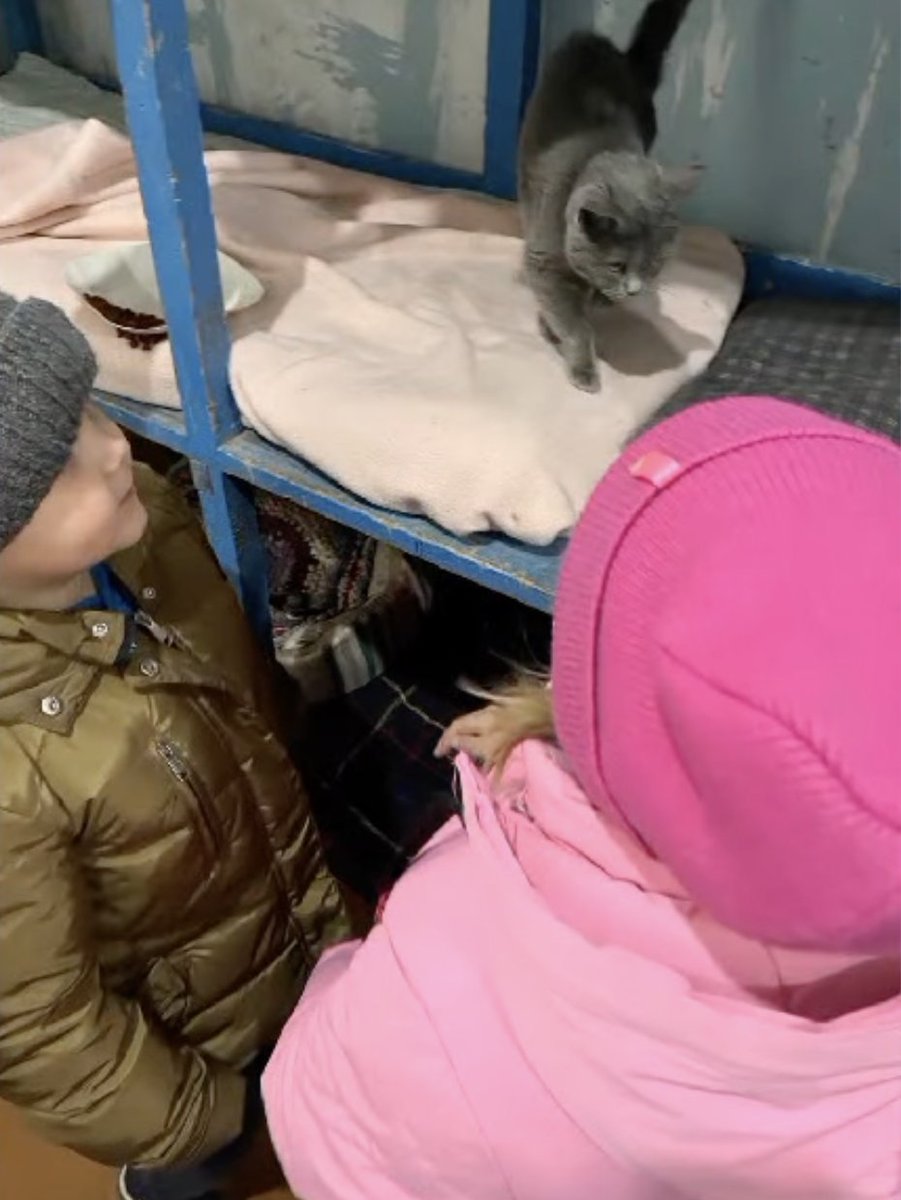 Recently, children visited the Shelter of Kindness, founded by the #Hospitallers, to offer their help. 
They brought food and treats for the animals and joyfully played with furry friends, giving them as much love as possible.
Read more and support hospitallers.org.uk/post/the-shelt…