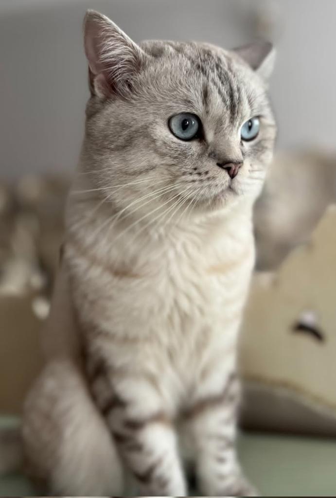 Ali_F (@alif54281379) on Twitter photo 