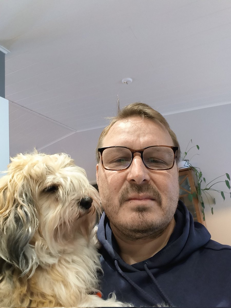 Ai niin se on kansallinen koiran päivä tänään. Iloa ja toki vaivaakin näistä. Mutta painotus ilolle ja ystävyydelle!