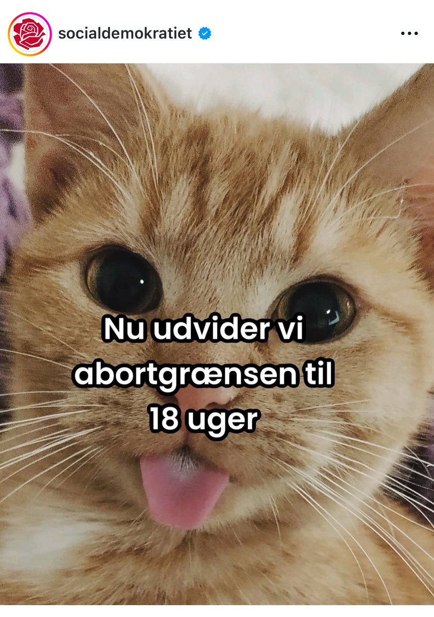 Sólbjørg Jakobsen (@solbjorgla) on Twitter photo Et meget plat slag, på et yderst følsomt emne fra <a href="/Spolitik/">Socialdemokratiet</a>.
Uanset hvad man mener om abort, synes jeg at man skylder emnet større seriøsitet end dette.
Tak til både de enige og uenige, som tog debatten i Folketingssalen i dag, på en ordentlig måde!
#dkpol Et meget plat slag, på et yderst følsomt emne fra <a href="/Spolitik/">Socialdemokratiet</a>.
Uanset hvad man mener om abort, synes jeg at man skylder emnet større seriøsitet end dette.
Tak til både de enige og uenige, som tog debatten i Folketingssalen i dag, på en ordentlig måde!
#dkpol