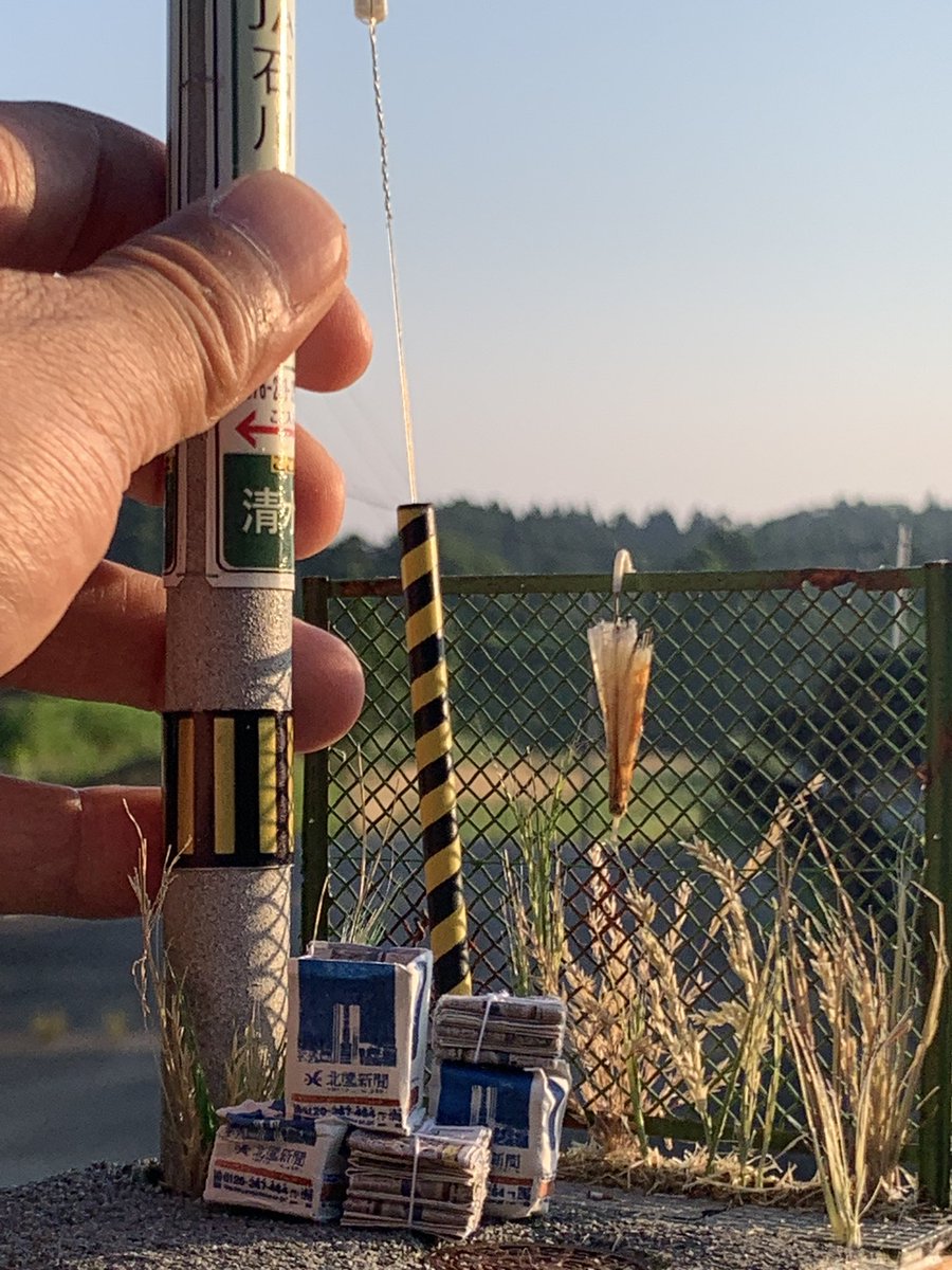 HGS model tweet media