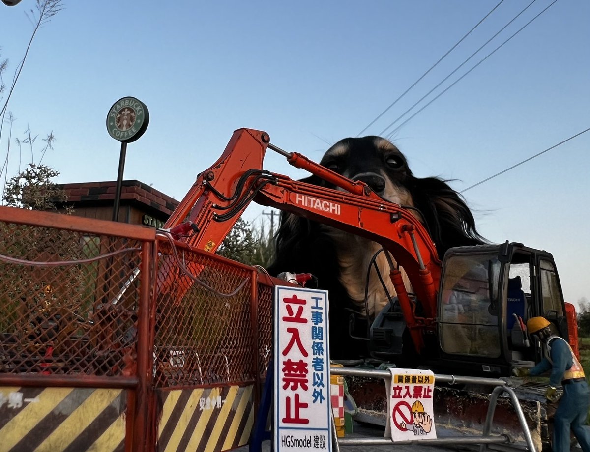 HGS model tweet media