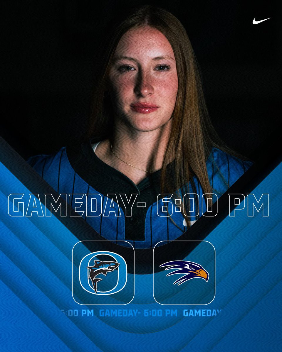 Bounce back time! 🥎🦈