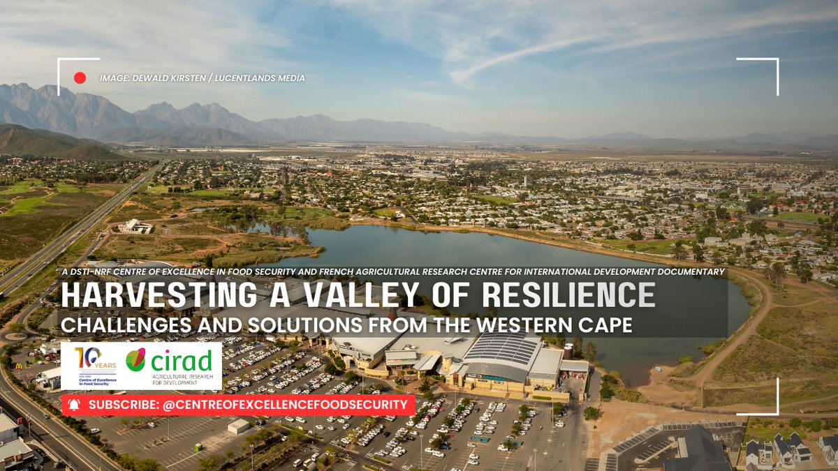 Food Security SA tweet media