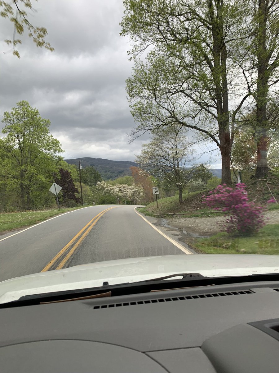 BuffaloByGodDan's tweet image. Good morning America. Spring has sprung in the heart of Appalachia.