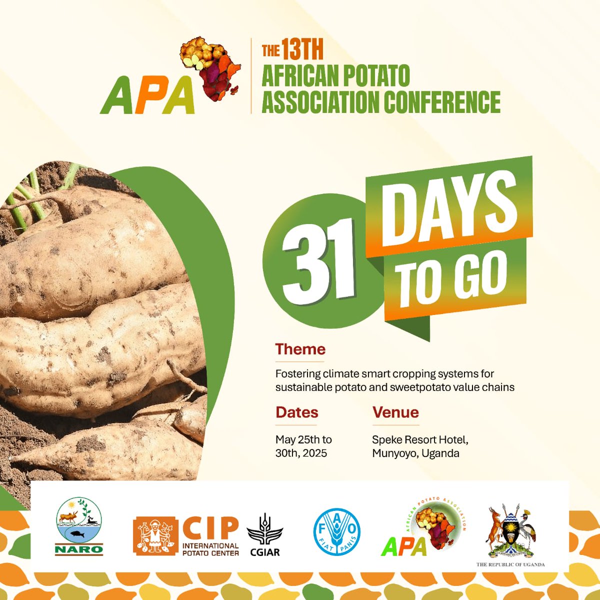 13TH AFRICAN POTATO ASSOCIATION CONFERENCE
Theme: "Fostering climate smart Cropping systems for sustainable potato and Sweetpotato value chains"
#APAUG2025 

conference.naro.go.ug