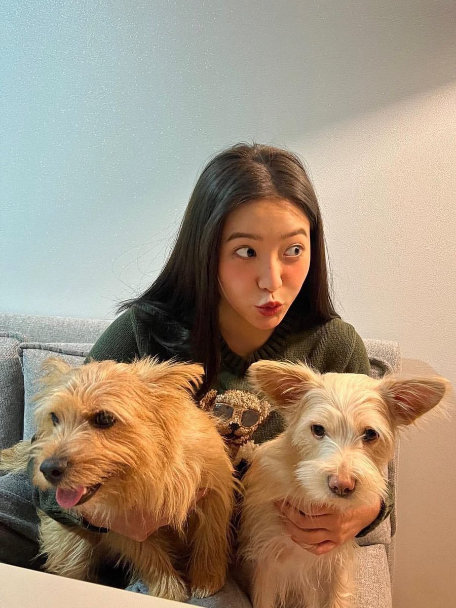 cuteyeripics's tweet photo. https://t.co/KwXExUyRWH
