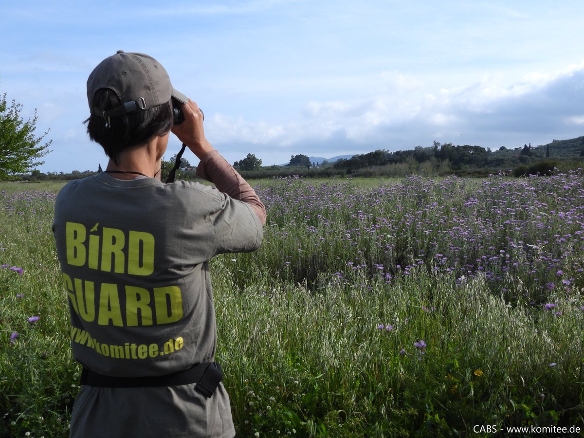 ⚠️1/5 

After only 3 years of spring anti-poaching operations on the Greek island of #Zakynthos we are pleased to report that the situation is already showing some signs of improvement!

In the first 10 days of our bird protection camp we recorded have far fewer shots than usual.