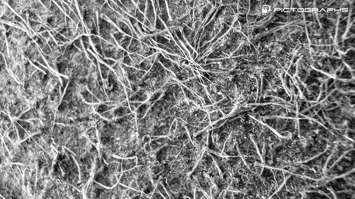 PictographsNFT's tweet photo. 🔍 Zoom In is here!

❔ Something that looks like tree roots. It's like... alive? 🤔
Tell us what you think it is!

💬 Drop your guesses below — the answer will be in the next post! https://t.co/WIxfbVoLTv