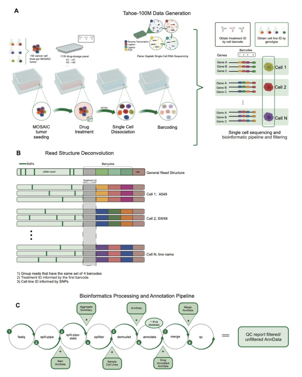 Tahoe-100M: A Giga-Scale Single-Cell Perturbation Atlas for Context-Dependent Gene Function and Cellular Modeling

1. Tahoe-100M introduces the largest single-cell perturbation atlas to date, profiling over 100 million transcriptomes across 50 cancer cell lines treated with more