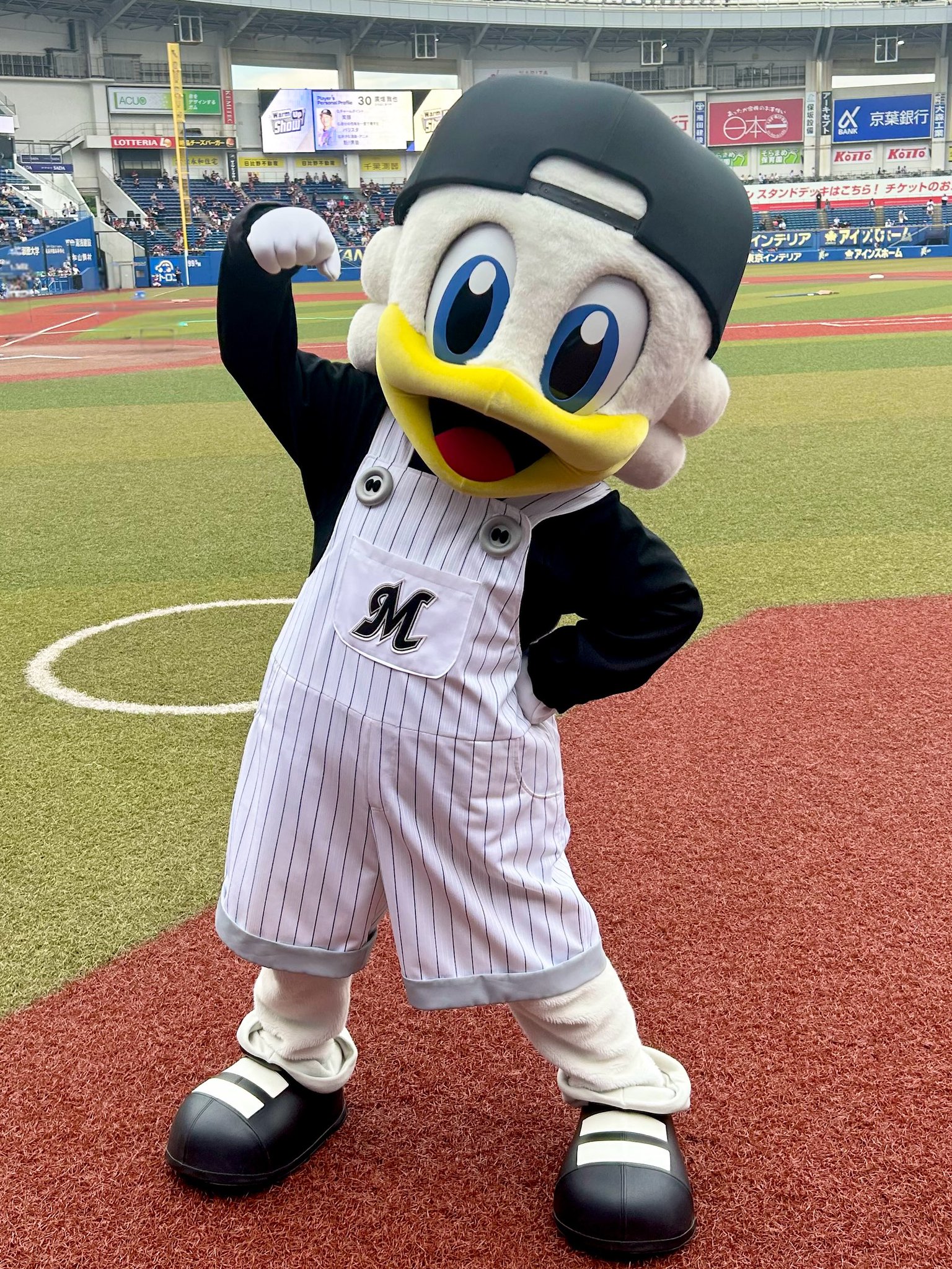 マーくん マーくん(千葉ロッテマリーンズ) on X: 