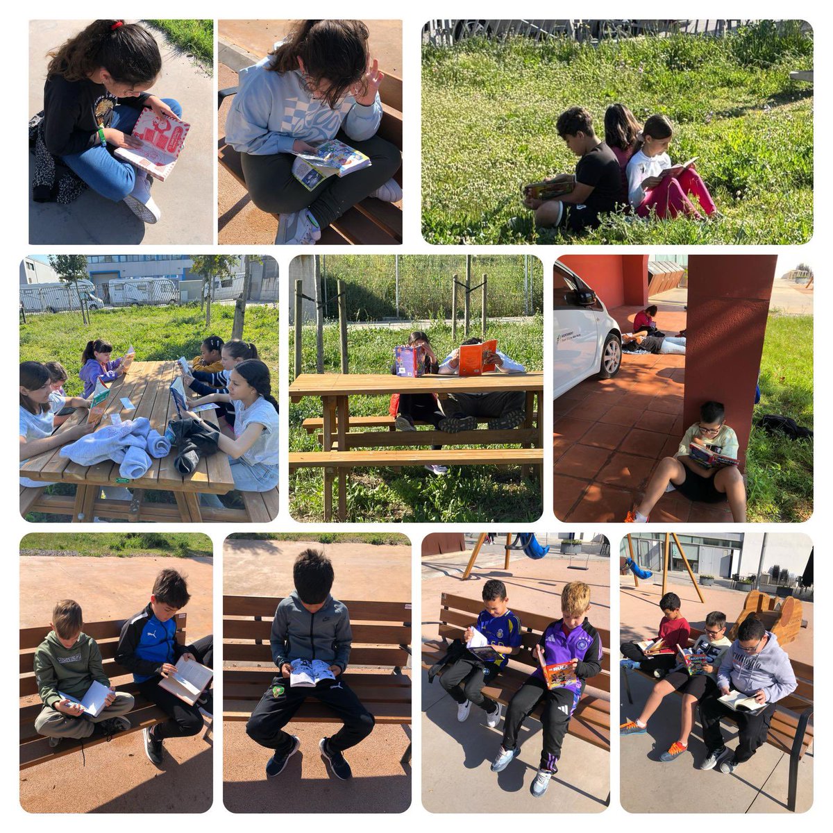 Respirar, llegir i reconnectar.Avui l'alumnat de 4t hem canviat les quatre parets per arbres, silenci i pàgines plenes d'històries. Hem recordat el plaer de llegir a l’aire lliure, entre ocells i brisa. No hi ha millor lloc per perdre’s en un llibre que envoltat de verd i calma.