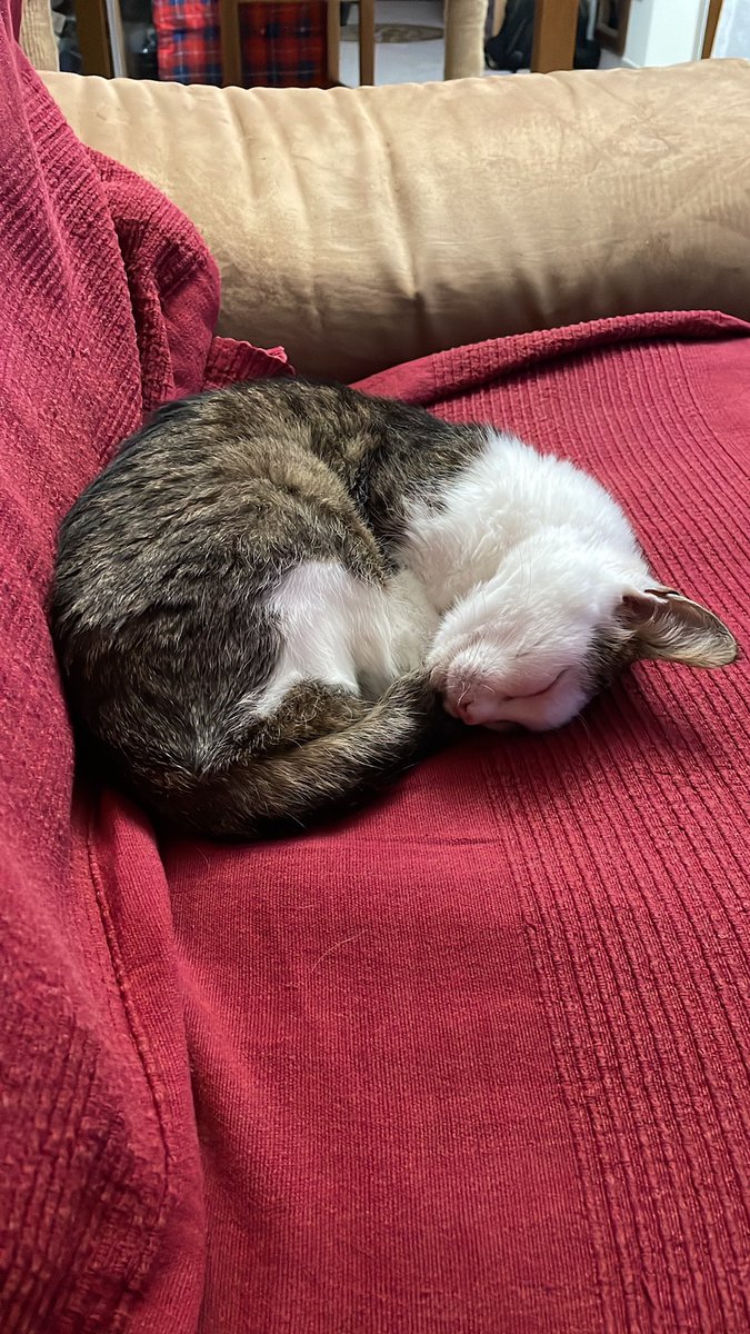 vanrell67's tweet image. Arrivederci Amuro, fai buon viaggio 😞😢😢😢😢❤️❤️❤️❤️❤️❤️