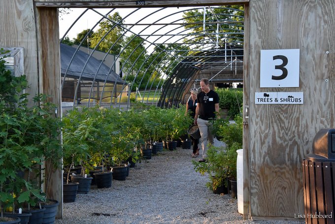 CincinnatiZoo's tweet image. Join us at the Native Plant Sale at the Zoo’s Bowyer Farm! These popular sales feature a variety of native plants. Because of limited parking, free registration is required: cincinnatizoo.org/events/native-… Brought to you by @klostermanbread