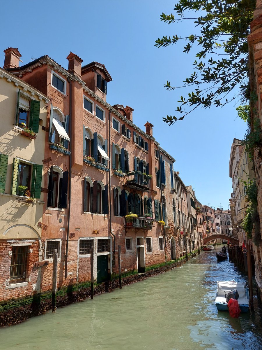 Xerses phus tweet media