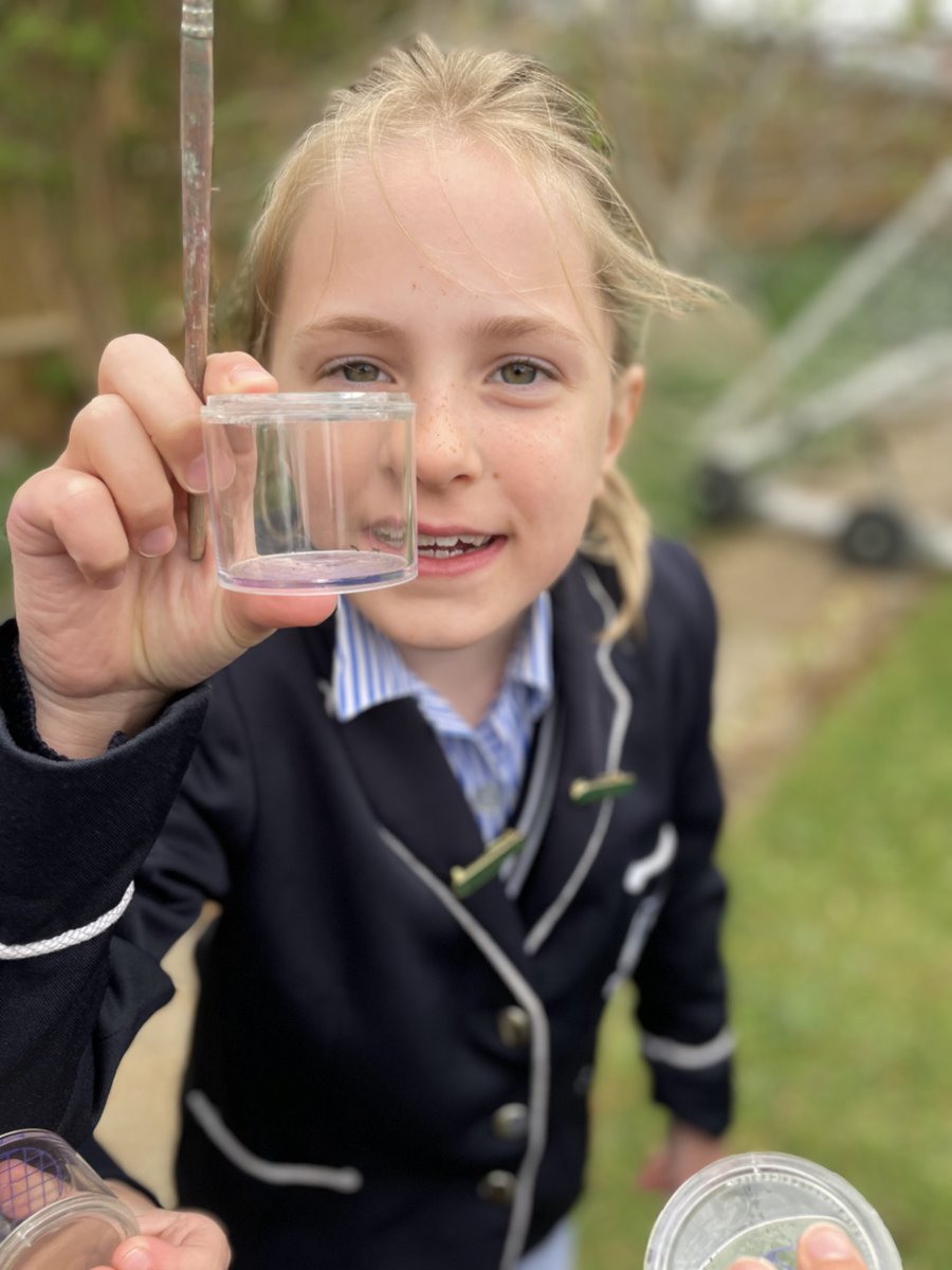 stcatherinessch's tweet image. Our Year 3 girls had a brilliant first day back yesterday. 🔎 They enjoyed a mini-expedition, observing and identifying all sorts of living things from insects to plants. 🐞🌿🐛 #SCSdeedsnotwords #SCSgirlseducation #SCSPrep #GirlsInSTEM #Year3Science #ScienceEducation