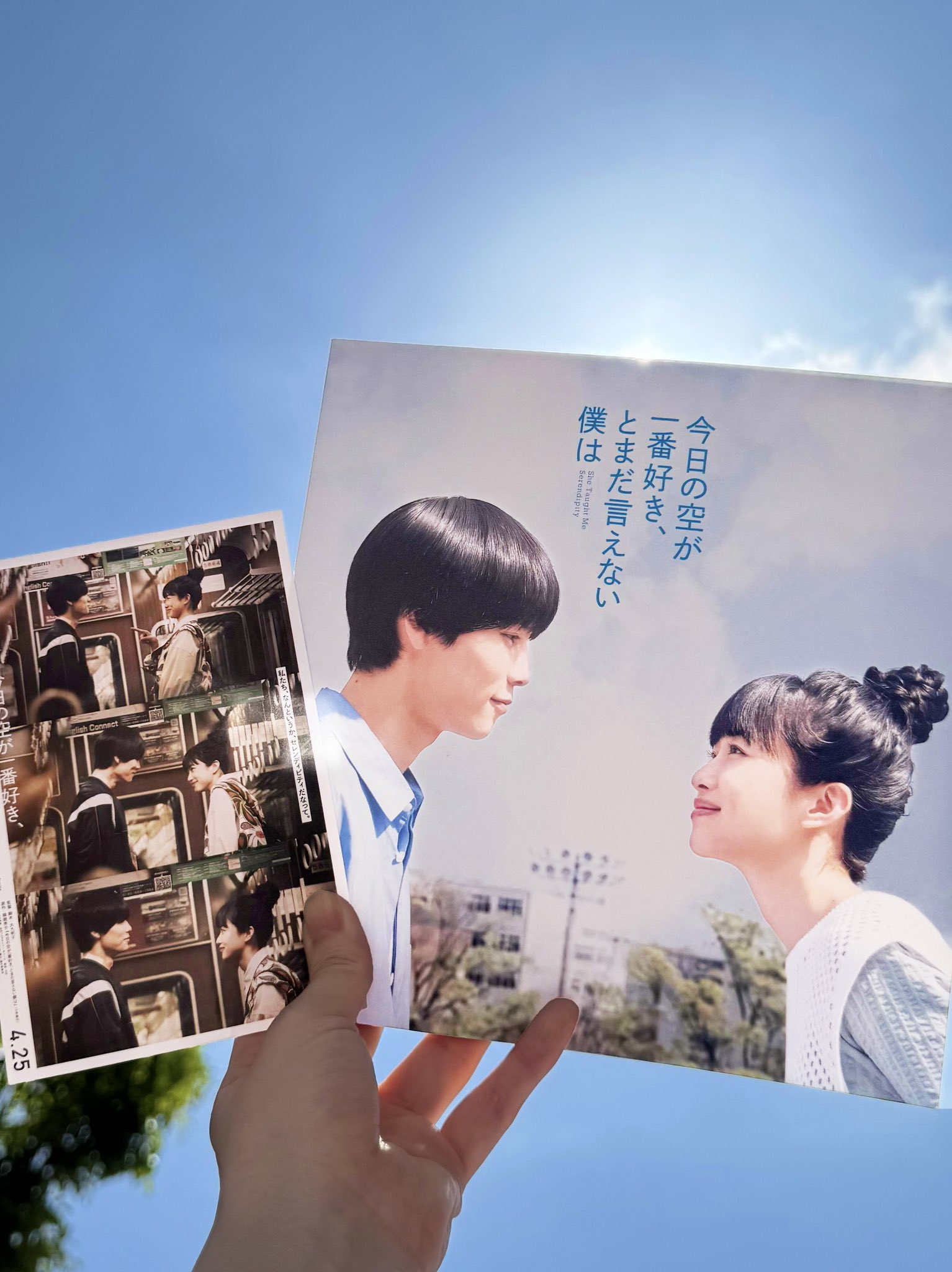 今日の空が一番好き、とまだ言えない僕は　映画パンフレット　入場特典ポストカード 映画 今日の空が一番好き、とまだ言えない僕は 入場特典 ポスト