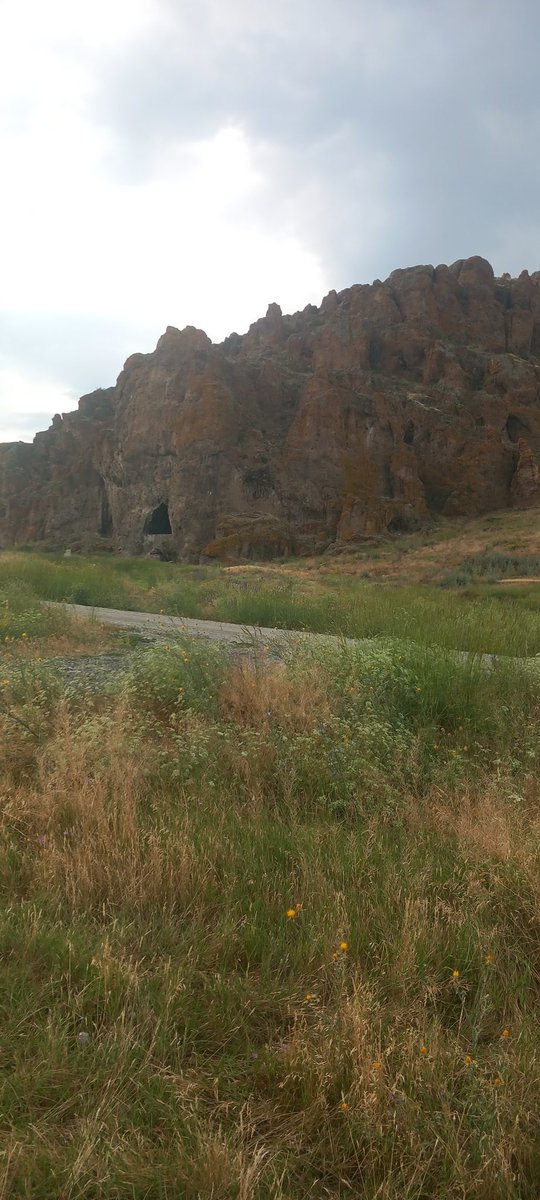 Twitter = Ali babanın çiftliği 🫢😅😍🤩🤣🤣