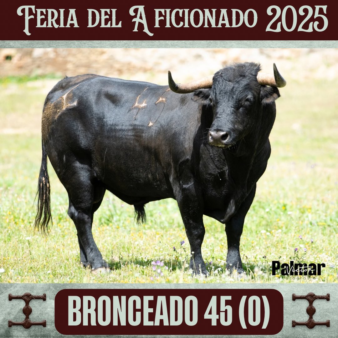 🐂Toros reseñados Feria del Aficionado 2025

CUADRI 🟪🟨⬜️

Corrida en desafío ganadero:
Prieto de la Cal-Cuadri 

📅 26 de abril
⏰ 18:00
📍San Agustín del Guadalix

🟤🟡3Puyazos🟡🟤