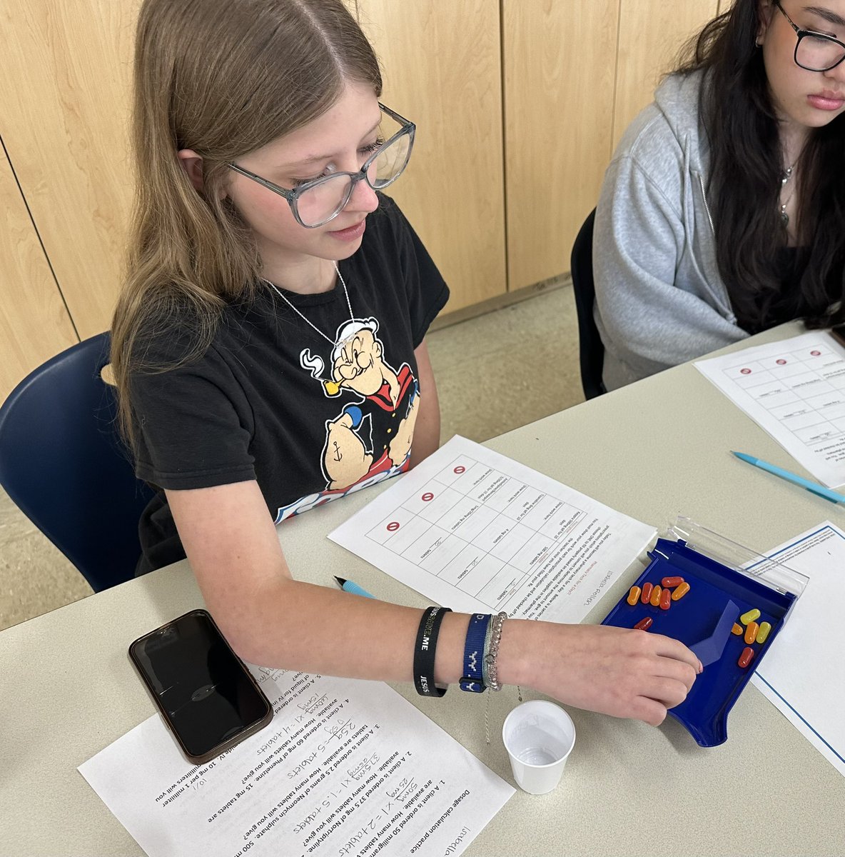 Karns High Health Sciences & Human Services tweet media