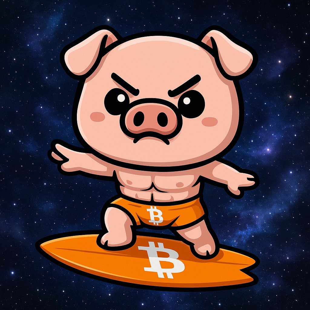 piggedbypiggy's tweet photo. Get On ₿oard https://t.co/g75cIYRfBM