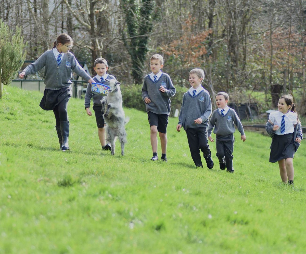 🎉🌟 Exciting news from Northiam Church of England Primary School and Nursery! 🌟🎉

The latest inspection report is in, and we couldn’t be prouder! 💛 It highlights  the values of fellowship, trust, thankfulness, compassion, humility, and courage shine brightly every day. ✨