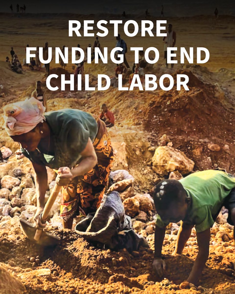HTLegalCenter's tweet image. We joined 100+ civil society orgs calling on the U.S. to restore federal funding for programs to halt child labor &amp;amp; forced labor. Protecting children from exploitation is a core value. @USDOL international programs keep children safe. #ChildLabor Read:stopchildlabor.org/civil-society-…