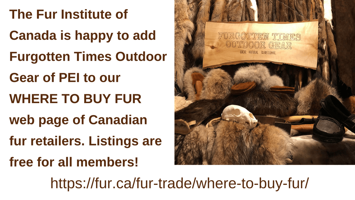 Fur Institute of Canada (@furinstitute) on Twitter photo 