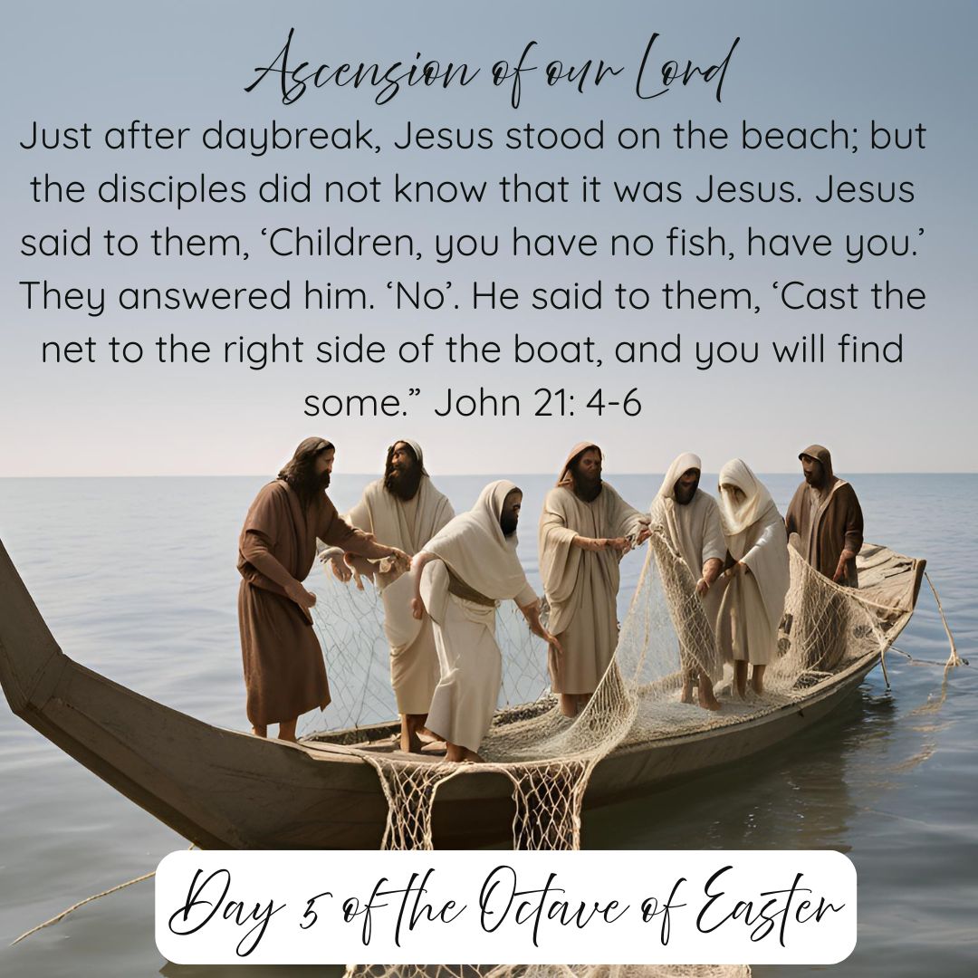 ascension eagles (@eaglesascension) on Twitter photo 