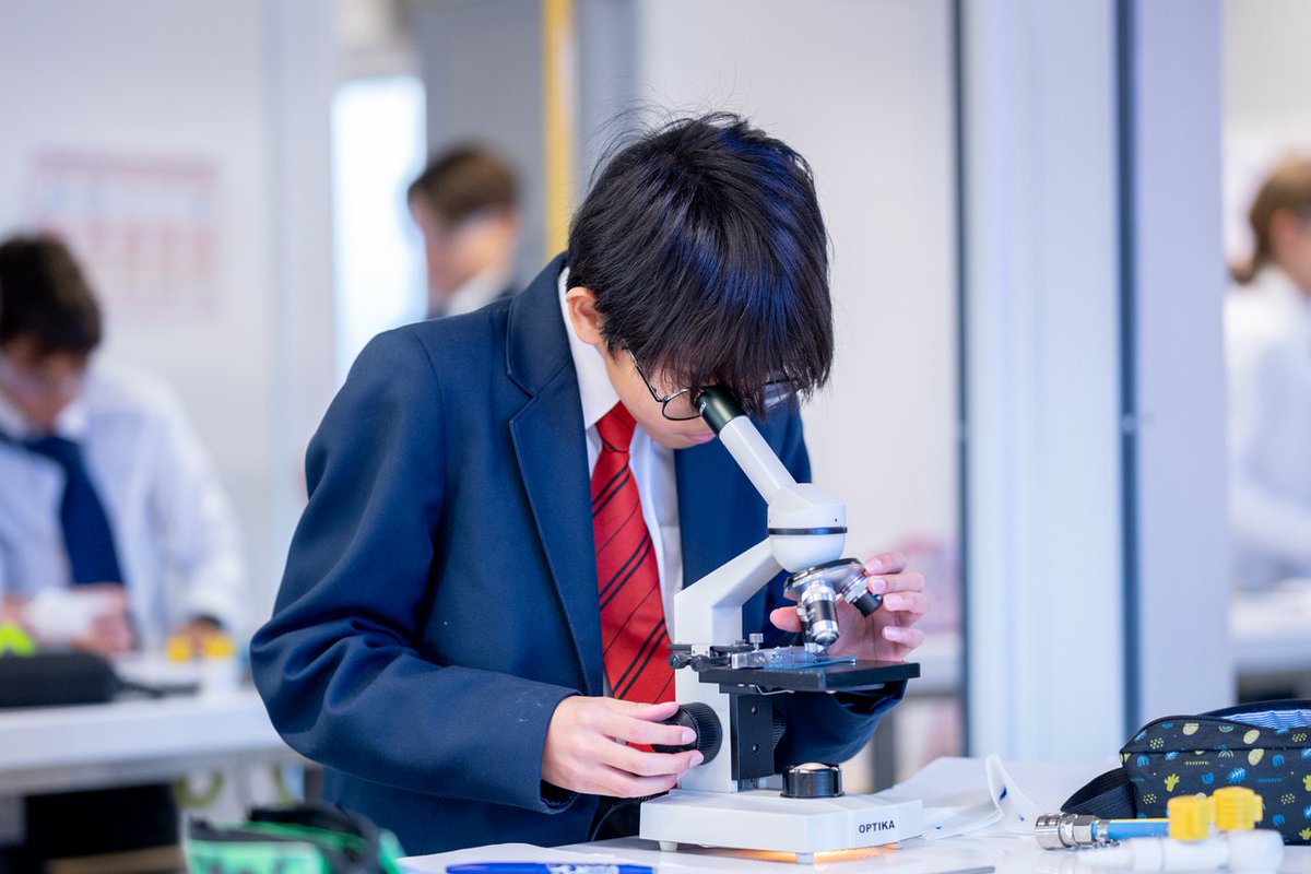 britishschoolro's tweet image. 🔎 A whole new world comes to life when our students look through the microscope! From tiny cells to fascinating structures, every discovery fuels their curiosity and love for Science. 🔬
#BSB #BritishCurriculum #CommittedToExcellence