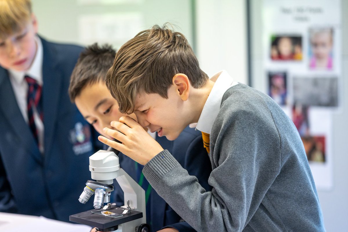britishschoolro's tweet image. 🔎 A whole new world comes to life when our students look through the microscope! From tiny cells to fascinating structures, every discovery fuels their curiosity and love for Science. 🔬
#BSB #BritishCurriculum #CommittedToExcellence