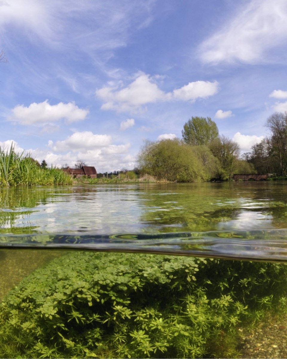 We're making major improvements to wastewater sites in Hampshire to protect the River Itchen and it’s delicate ecosystem.  

​Read more👉 ow.ly/Azvw50VHbWL