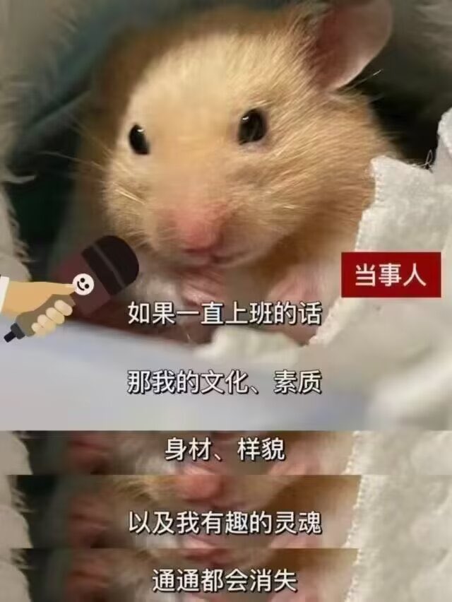 夜落 tweet media
